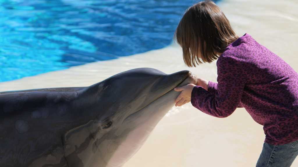 Types of Animal Therapy for Autism